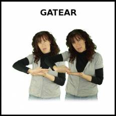 GATEAR - Signo