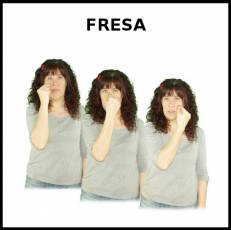 FRESA - Signo