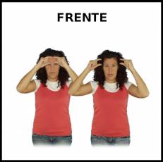 FRENTE - Signo