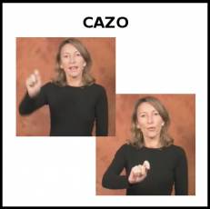 CAZO (DE SERVIR) - Signo