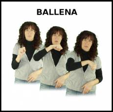 BALLENA - Signo