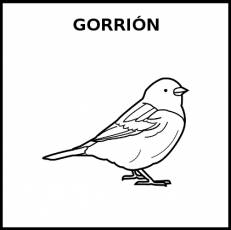 GORRIÓN - Pictograma (blanco y negro)