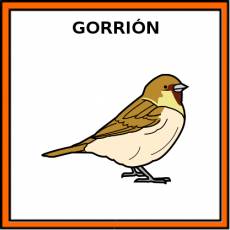 GORRIÓN - Pictograma (color)