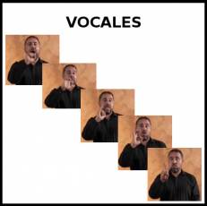 VOCALES - Signo