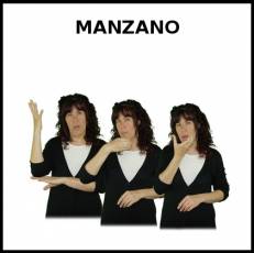 MANZANO - Signo