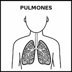 PULMONES - Pictograma (blanco y negro)
