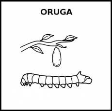 ORUGA - Pictograma (blanco y negro)