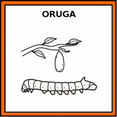 ORUGA - Pictograma (color)