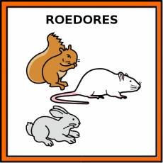 ROEDORES - Pictograma (color)