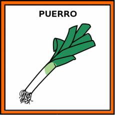 PUERRO - Pictograma (color)