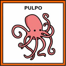 PULPO - Pictograma (color)