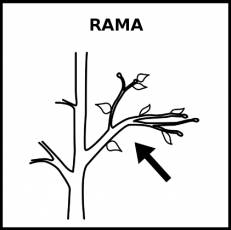 RAMA - Pictograma (blanco y negro)