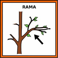 RAMA - Pictograma (color)