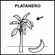PLATANERO - Pictograma (blanco y negro)