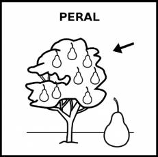 PERAL - Pictograma (blanco y negro)