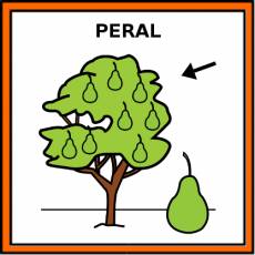 PERAL - Pictograma (color)