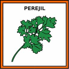 PEREJIL - Pictograma (color)
