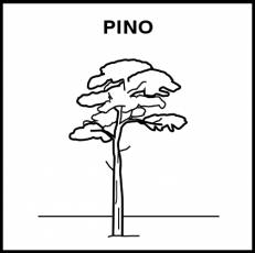 PINO - Pictograma (blanco y negro)