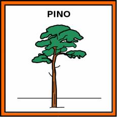 PINO - Pictograma (color)