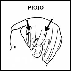 PIOJO - Pictograma (blanco y negro)