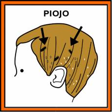 PIOJO - Pictograma (color)