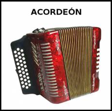 ACORDEÓN - Foto
