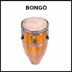 BONGÓ - Foto