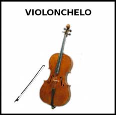 VIOLONCHELO - Foto
