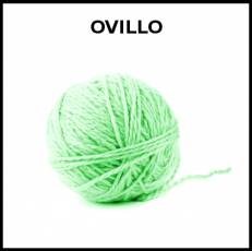 OVILLO - Foto