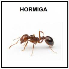 HORMIGA - Foto