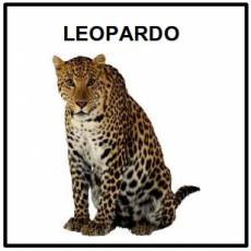 LEOPARDO - Foto