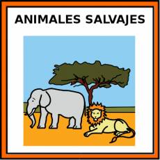 ANIMALES SALVAJES - Pictograma (color)