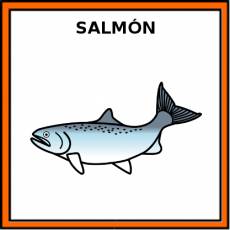 SALMÓN (ANIMAL) - Pictograma (color)