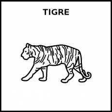 TIGRE - Pictograma (blanco y negro)