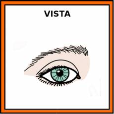 VISTA - Pictograma (color)