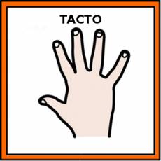 TACTO - Pictograma (color)