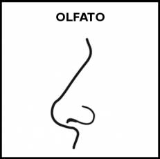 OLFATO - Pictograma (blanco y negro)