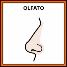 OLFATO - Pictograma (color)