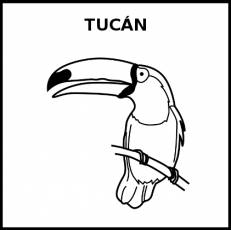 TUCÁN - Pictograma (blanco y negro)