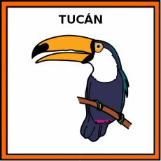 TUCÁN - Pictograma (color)
