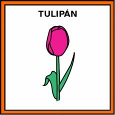 TULIPÁN - Pictograma (color)