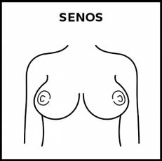 SENOS - Pictograma (blanco y negro)
