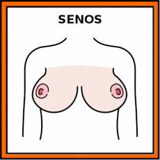 SENOS - Pictograma (color)