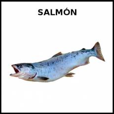 SALMÓN (ANIMAL) - Foto