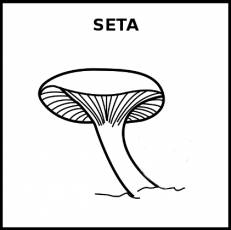 SETA - Pictograma (blanco y negro)
