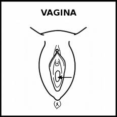 VAGINA - Pictograma (blanco y negro)