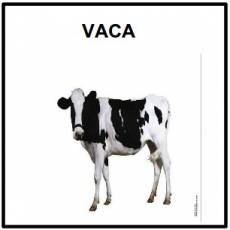 VACA - Foto