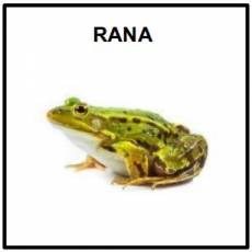 RANA - Foto