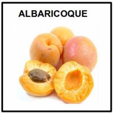 ALBARICOQUE - Foto