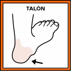 TALÓN - Pictograma (color)